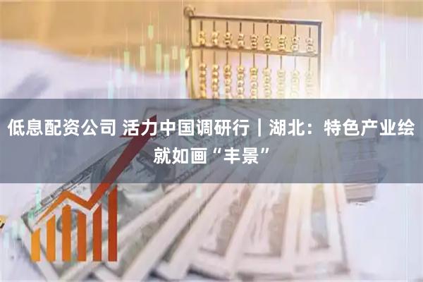 低息配资公司 活力中国调研行｜湖北：特色产业绘就如画“丰景”